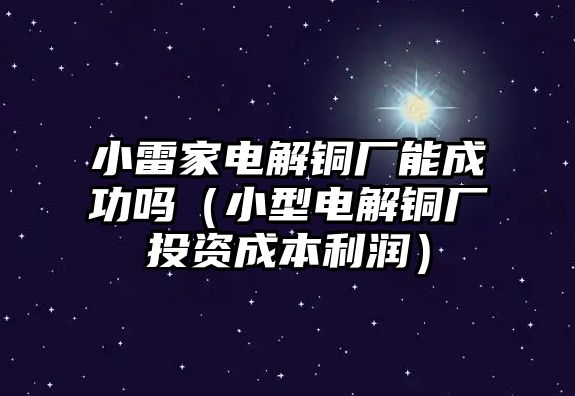 小雷家電解銅廠能成功嗎（小型電解銅廠投資成本利潤(rùn)）