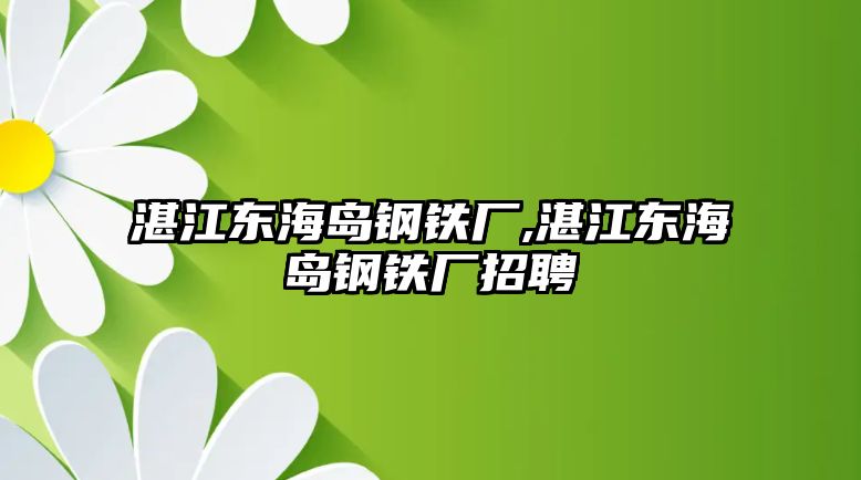 湛江東海島鋼鐵廠,湛江東海島鋼鐵廠招聘