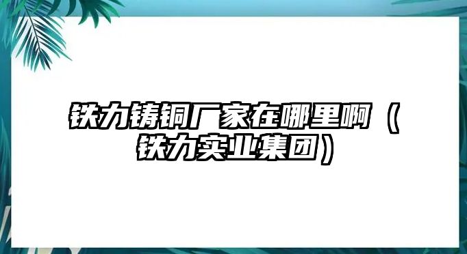 鐵力鑄銅廠家在哪里啊（鐵力實(shí)業(yè)集團(tuán)）