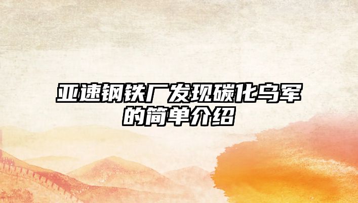 亞速鋼鐵廠發(fā)現(xiàn)碳化烏軍的簡(jiǎn)單介紹