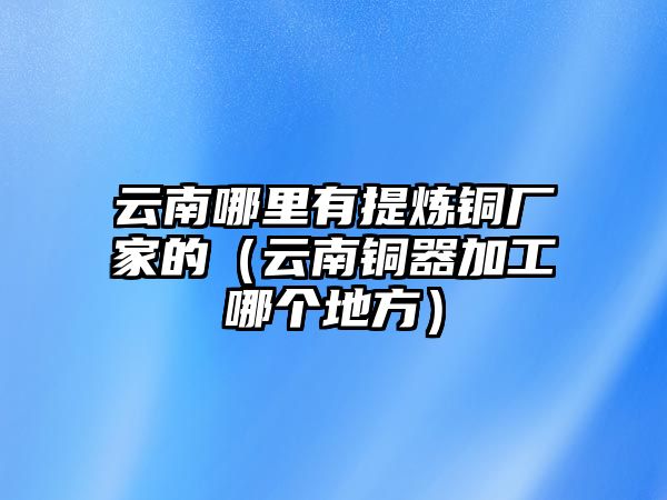 云南哪里有提煉銅廠家的（云南銅器加工哪個地方）