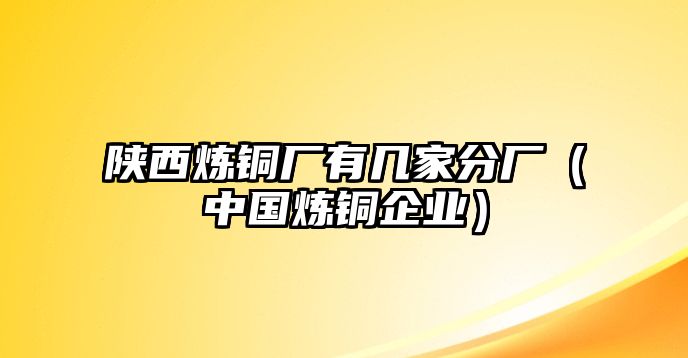 陜西煉銅廠有幾家分廠（中國煉銅企業(yè)）