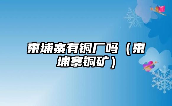 柬埔寨有銅廠嗎（柬埔寨銅礦）