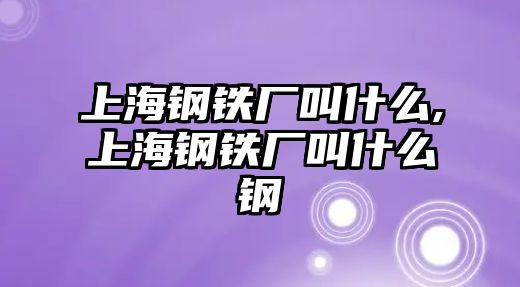 上海鋼鐵廠叫什么,上海鋼鐵廠叫什么鋼