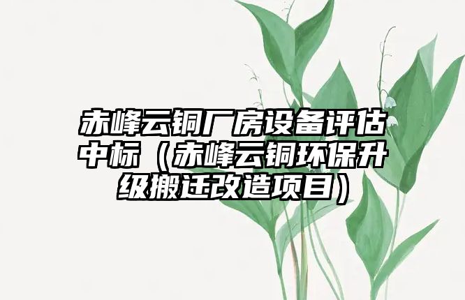 赤峰云銅廠房設(shè)備評估中標(biāo)（赤峰云銅環(huán)保升級搬遷改造項目）