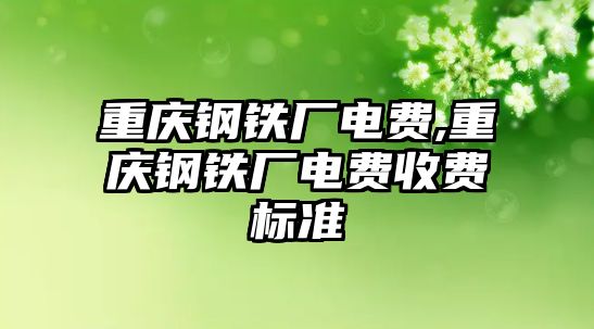 重慶鋼鐵廠電費,重慶鋼鐵廠電費收費標準