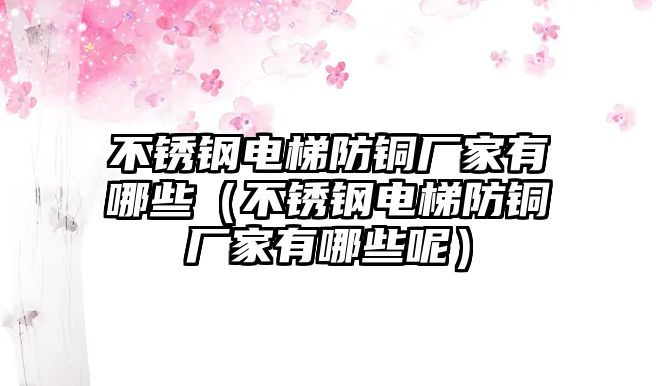 不銹鋼電梯防銅廠家有哪些（不銹鋼電梯防銅廠家有哪些呢）