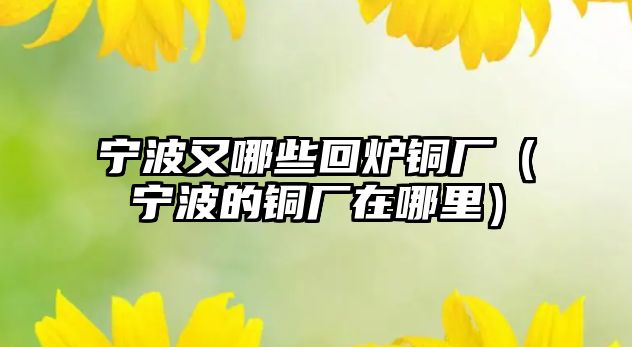 寧波又哪些回爐銅廠（寧波的銅廠在哪里）