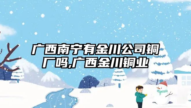 廣西南寧有金川公司銅廠嗎,廣西金川銅業(yè)