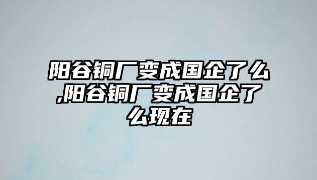 陽谷銅廠變成國企了么,陽谷銅廠變成國企了么現(xiàn)在