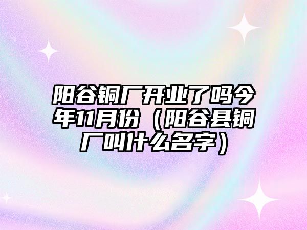 陽谷銅廠開業(yè)了嗎今年11月份（陽谷縣銅廠叫什么名字）