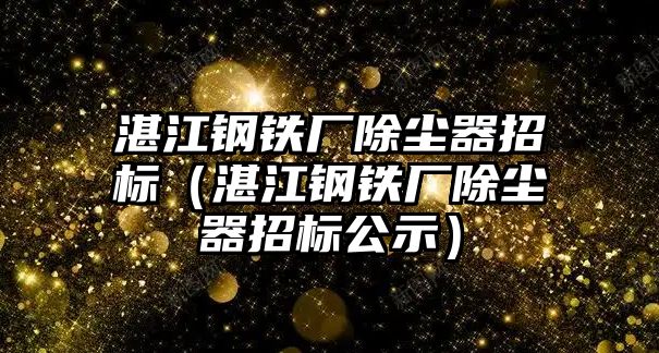 湛江鋼鐵廠除塵器招標（湛江鋼鐵廠除塵器招標公示）