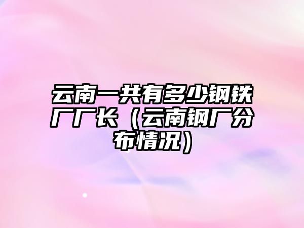 云南一共有多少鋼鐵廠廠長（云南鋼廠分布情況）