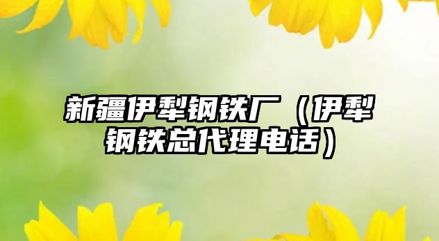 新疆伊犁鋼鐵廠（伊犁鋼鐵總代理電話）