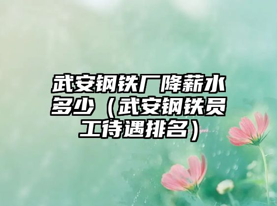 武安鋼鐵廠降薪水多少（武安鋼鐵員工待遇排名）