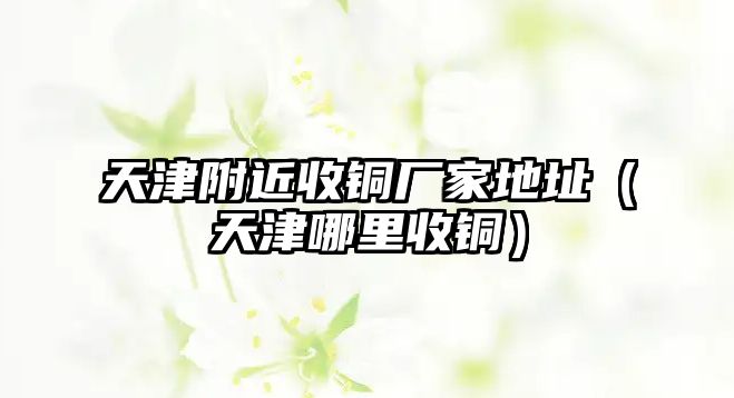 天津附近收銅廠家地址（天津哪里收銅）