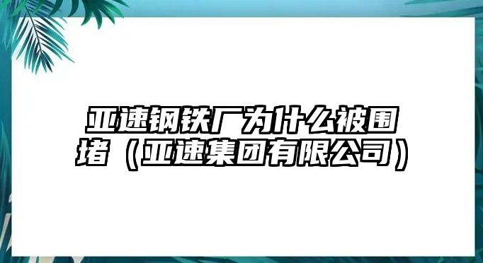 亞速鋼鐵廠為什么被圍堵（亞速集團(tuán)有限公司）