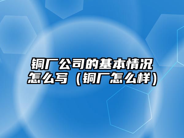 銅廠公司的基本情況怎么寫（銅廠怎么樣）