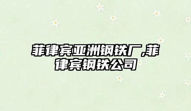 菲律賓亞洲鋼鐵廠,菲律賓鋼鐵公司