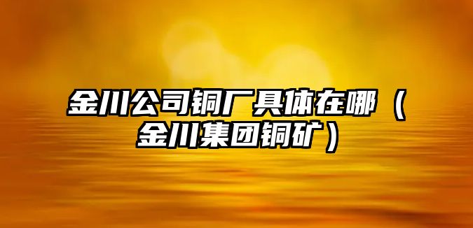 金川公司銅廠具體在哪（金川集團(tuán)銅礦）