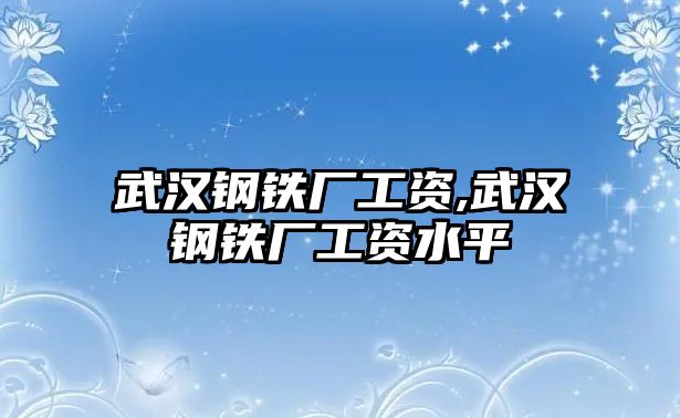 武漢鋼鐵廠工資,武漢鋼鐵廠工資水平