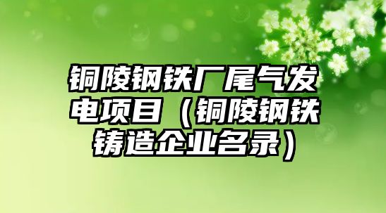 銅陵鋼鐵廠尾氣發(fā)電項目（銅陵鋼鐵鑄造企業(yè)名錄）