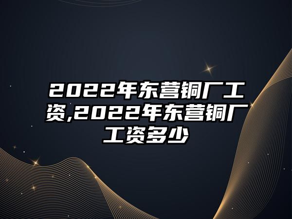 2022年東營銅廠工資,2022年東營銅廠工資多少