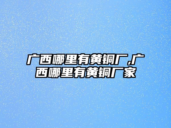 廣西哪里有黃銅廠,廣西哪里有黃銅廠家