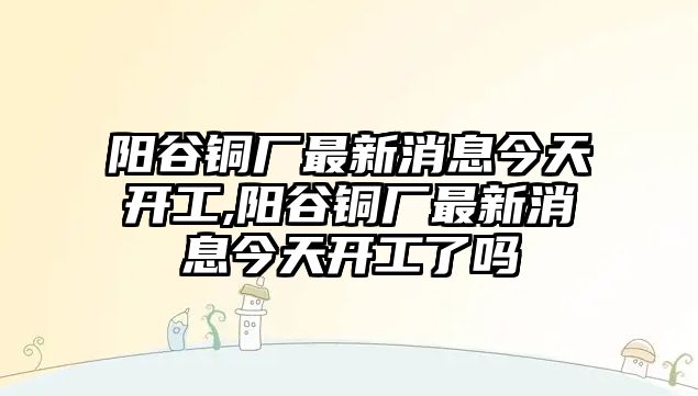 陽谷銅廠最新消息今天開工,陽谷銅廠最新消息今天開工了嗎