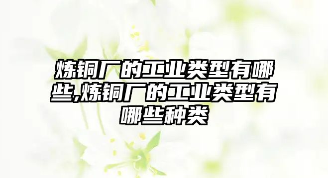 煉銅廠的工業(yè)類型有哪些,煉銅廠的工業(yè)類型有哪些種類