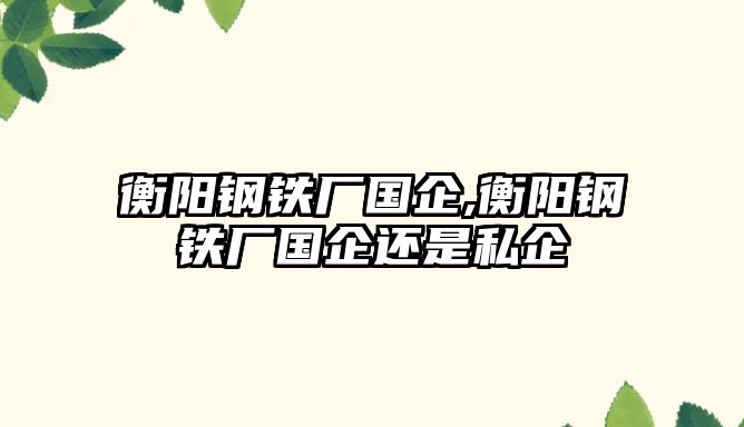 衡陽鋼鐵廠國企,衡陽鋼鐵廠國企還是私企