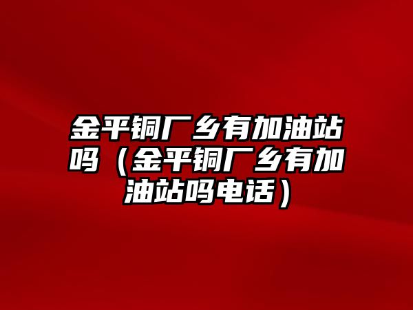 金平銅廠鄉(xiāng)有加油站嗎（金平銅廠鄉(xiāng)有加油站嗎電話）