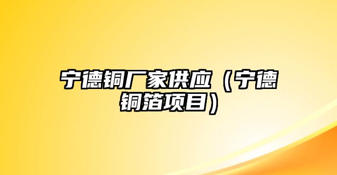 寧德銅廠家供應(yīng)（寧德銅箔項目）