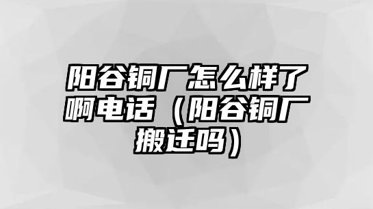 陽谷銅廠怎么樣了啊電話（陽谷銅廠搬遷嗎）