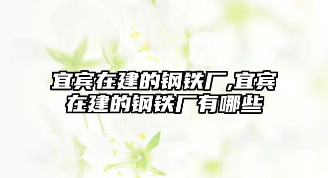 宜賓在建的鋼鐵廠,宜賓在建的鋼鐵廠有哪些