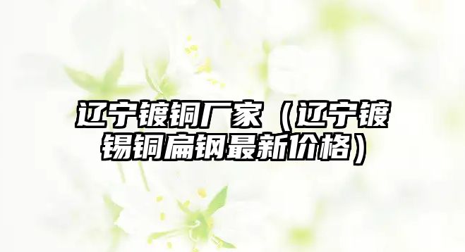 遼寧鍍銅廠家（遼寧鍍錫銅扁鋼最新價(jià)格）