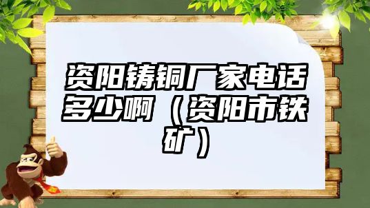 資陽(yáng)鑄銅廠家電話多少?。ㄙY陽(yáng)市鐵礦）