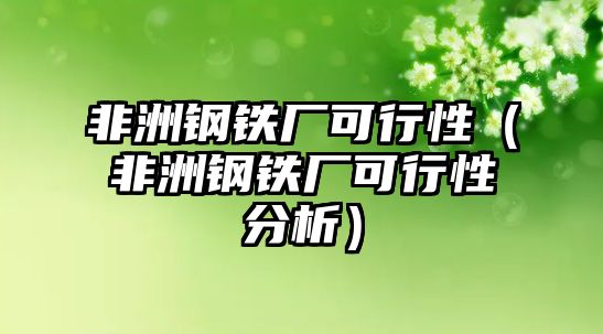 非洲鋼鐵廠可行性（非洲鋼鐵廠可行性分析）