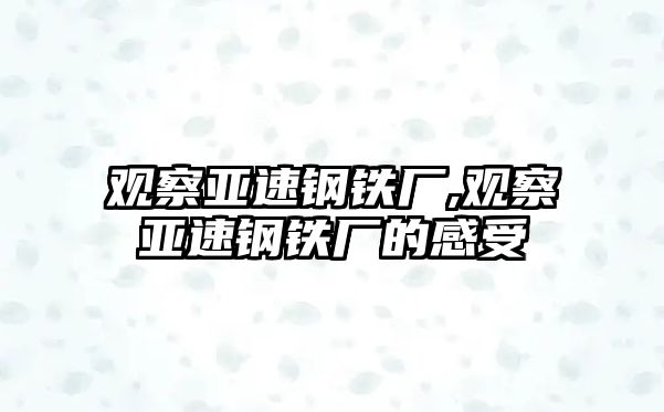 觀察亞速鋼鐵廠,觀察亞速鋼鐵廠的感受