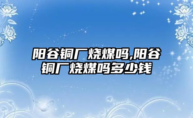 陽谷銅廠燒煤嗎,陽谷銅廠燒煤嗎多少錢