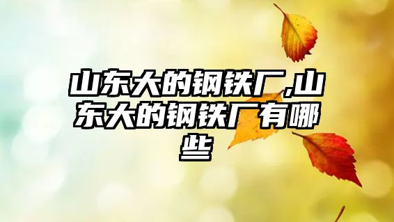 山東大的鋼鐵廠,山東大的鋼鐵廠有哪些