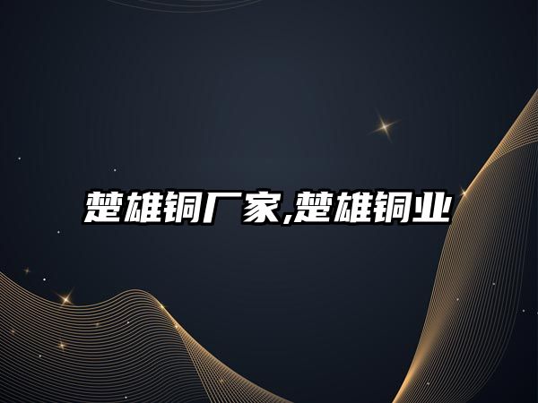 楚雄銅廠家,楚雄銅業(yè)