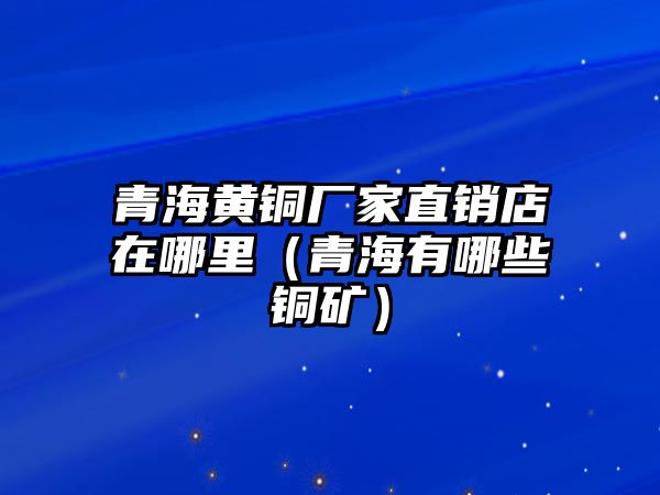 青海黃銅廠家直銷(xiāo)店在哪里（青海有哪些銅礦）