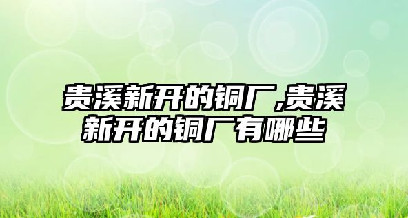 貴溪新開的銅廠,貴溪新開的銅廠有哪些