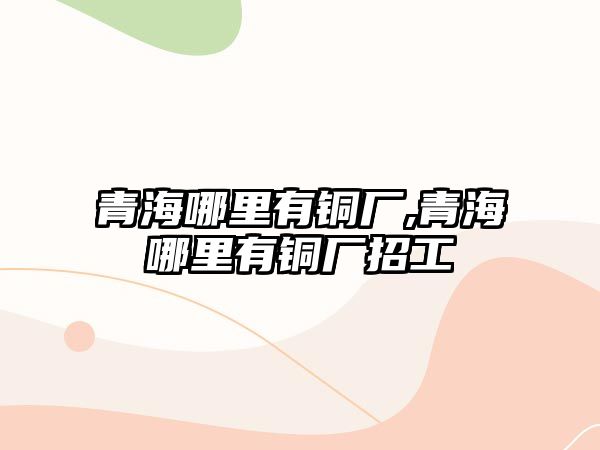 青海哪里有銅廠,青海哪里有銅廠招工