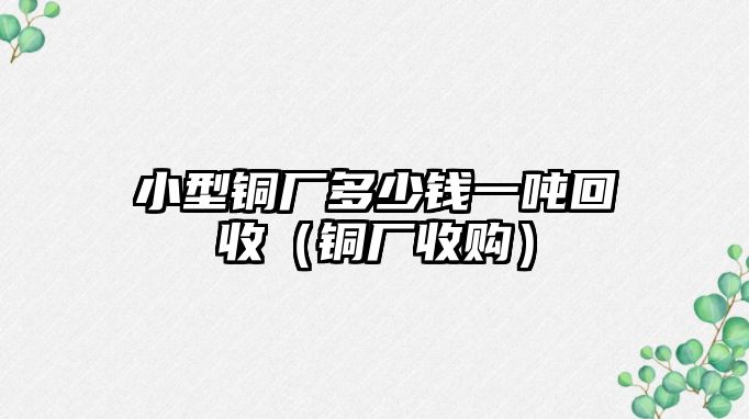 小型銅廠多少錢一噸回收（銅廠收購(gòu)）