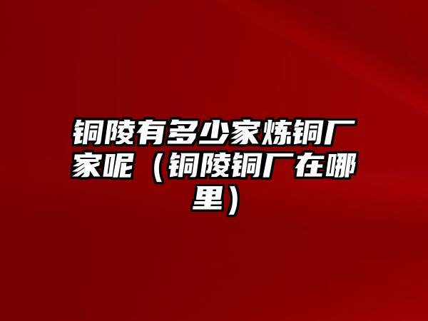 銅陵有多少家煉銅廠家呢（銅陵銅廠在哪里）