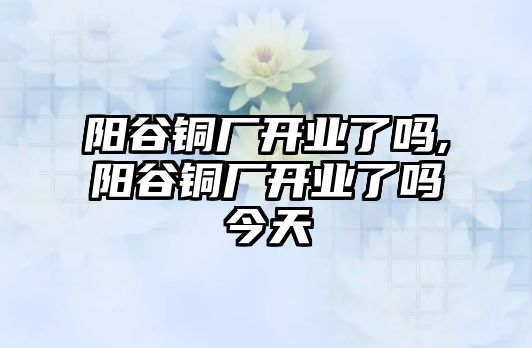 陽谷銅廠開業(yè)了嗎,陽谷銅廠開業(yè)了嗎今天