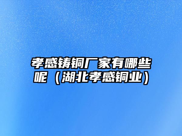 孝感鑄銅廠家有哪些呢（湖北孝感銅業(yè)）