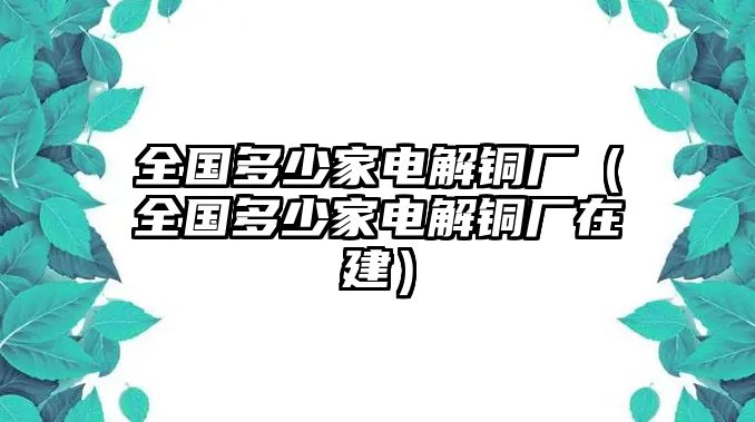 全國(guó)多少家電解銅廠（全國(guó)多少家電解銅廠在建）